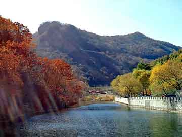 新澳天天开奖资料大全旅游团，肉羊养殖基地